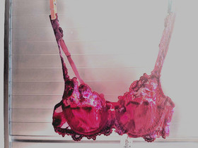 Vintage Lise Charmel Designer French Lingere Bra - Rose de Vent -Rouge Eclat 32B