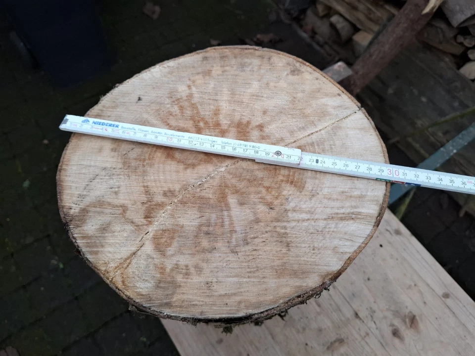 DEKO Baumstamm Holz Klotz AHORN Höhe ca. 40 cm Durchmesser ca. 30 cm HAUKLOTZ - Bild 4 von 4