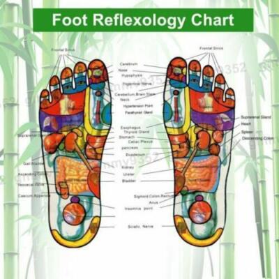 50pcs Detox Foot Patches Pads Body Toxins Feet Slimming Deep Cleansing Herbal