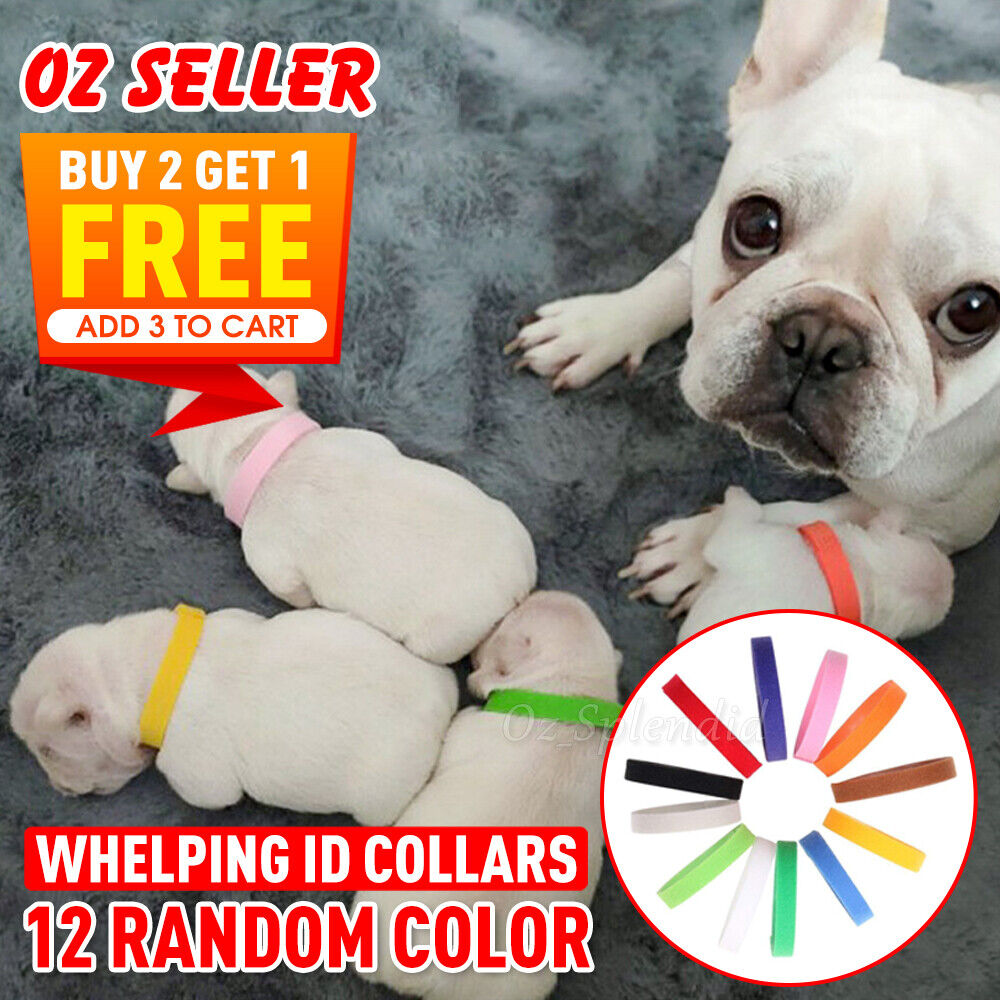 12 Colours Whelping ID Collar Bands Pet Puppy Kitten Identification Collar Tags