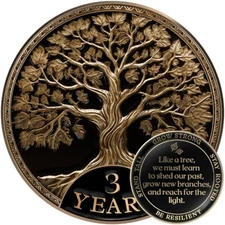 Sobriety Coin Gift Set 3 Year Tree of Life AA Chip with Capsule Stand and Card