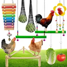 9 Pack Chicken Toys, Chicken Coop Accessories for Father's Day, with 2 Swing,...
