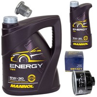 MotoröL Set 5W-30 6 Liter + ÖLfilter Sm 142/1 + Schraube FüR Renault Megane Ii