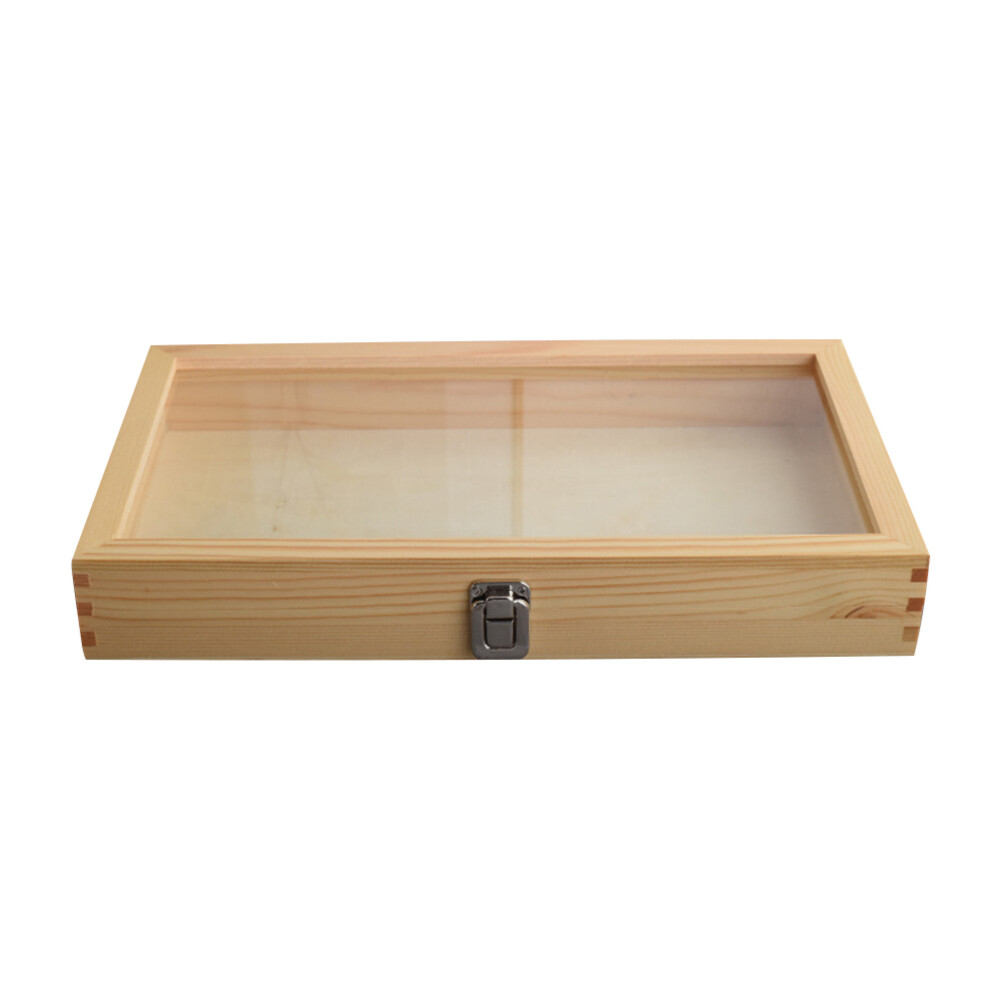 Wooden Specimen Showcase Caterpillar Entomology Display Butterfly Wall Decor