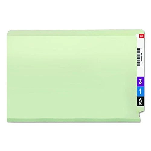 PESTAÑA DE PRENSADO CON LENGÜETA PYMEAD CARPETA DE ARCHIVOS EXPANSIÓN ESCUDO SEGURO - GRIS/VERDE Foto 3 de 4