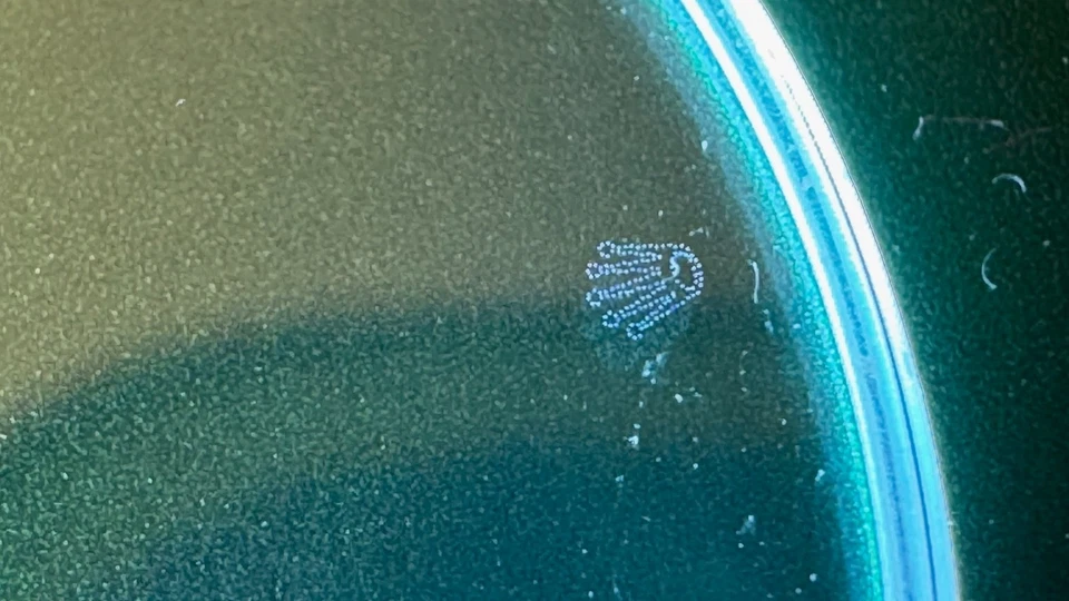 Rolex Sapphire Crystal Submariner / Datejust. Auténtico. Original 25-295C AR LEC Foto 3 de 4