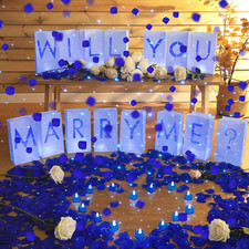 2051 Pcs Proposal Decorations Kit 15 Will You Marry Me Sign Luminary Paper Bags