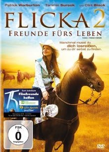 Flicka 2 - Freunde fürs Leben von Michael Damian | DVD | Zustand neu