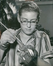 1960 John Humphrey Land Crab Ray Fish Miami Herald Fl Historic Press Photo 8x10