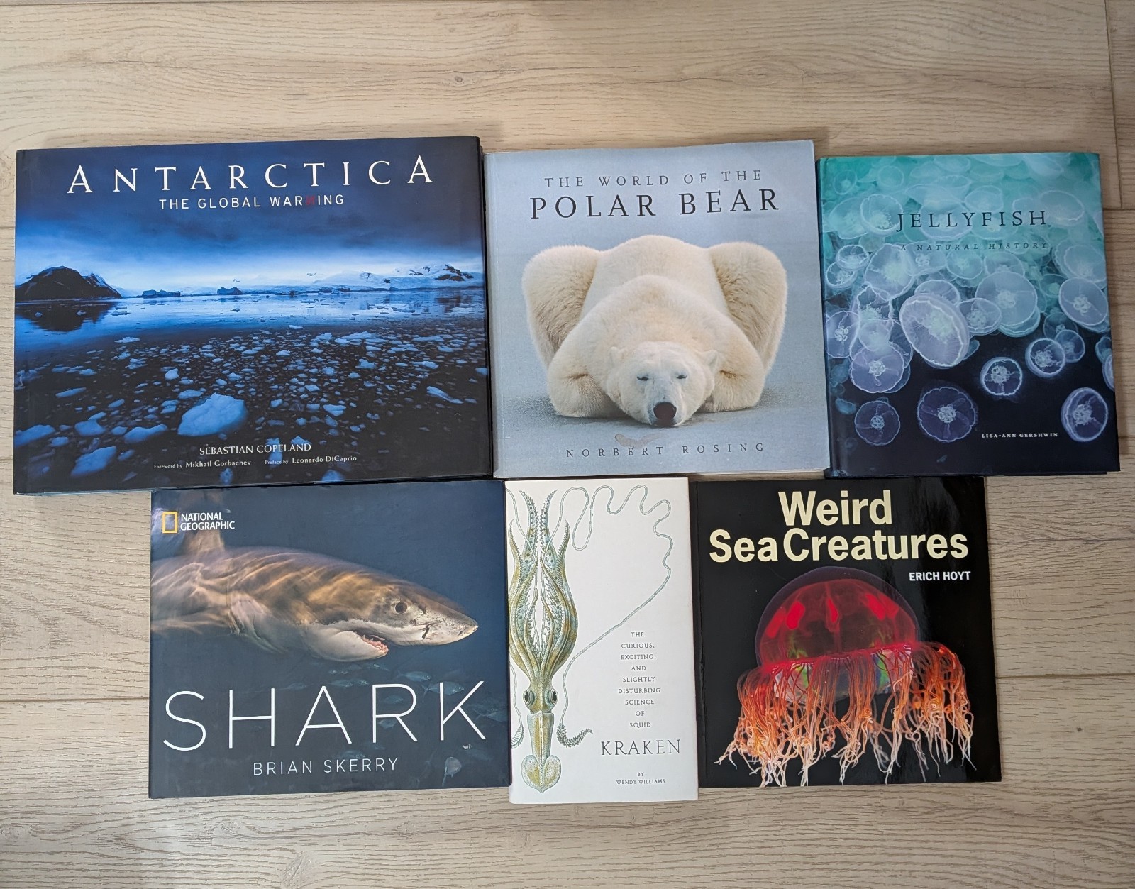 Wildlife & Ocean 6 Book Lot: Sharks, Polar Bear, Jellyfish, Antarctica, Kraken