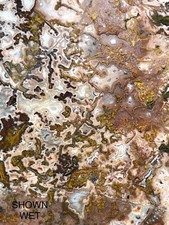 APPLE VALLEY AGATE SLAB - 5.36oz Unpolished Cabbing Lapidary Rough Rock Mineral