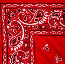 3 PACK Paisley Bandanas 100 Cotton LARGE Men Women Dog Head Wrap Scarf Neck