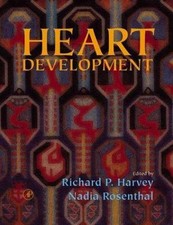 Heart Development by