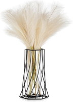 Sziqiqi Vase Gold FüR Pampasgras: Metall Reagenzglas Vase Glas Modern