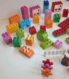 LEGO DUPLO: All-in-One-Pink-Box-of-Fun (10571)