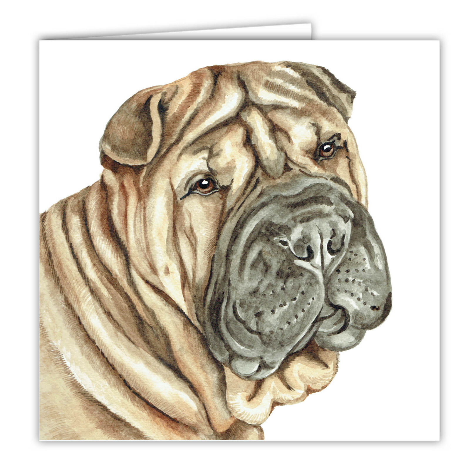 Shar Pei greetings card dog blank card dogs Shar Peis WAGGYDOGZ CARDS art card