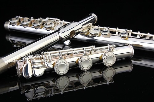 Elegant 17 Key C Flute with Case & Gloves – Silver Plated, High Grade Quality - Picture 10 of 11