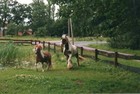 Bild 9 von 9