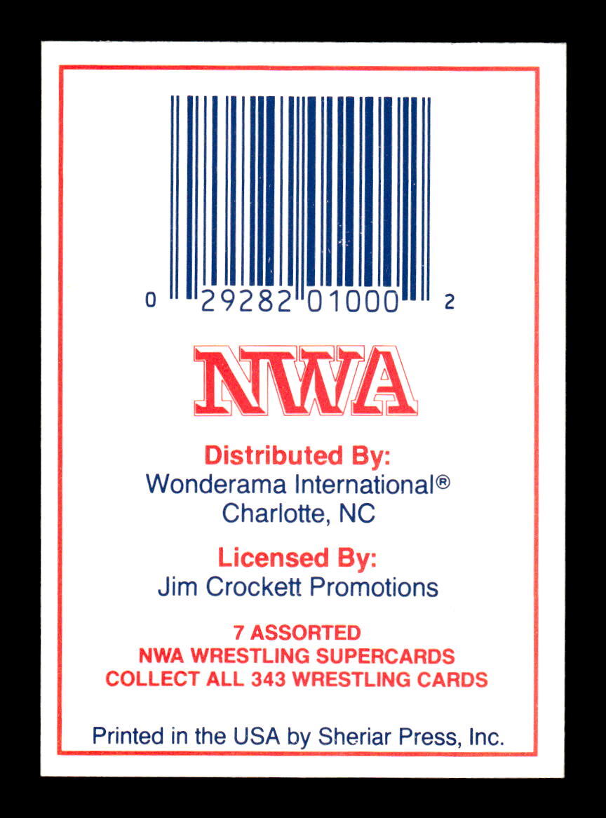 小物 nwa Ungrouped Chondrite Meteorite Slice 1.64g I NWA 12273 I Very