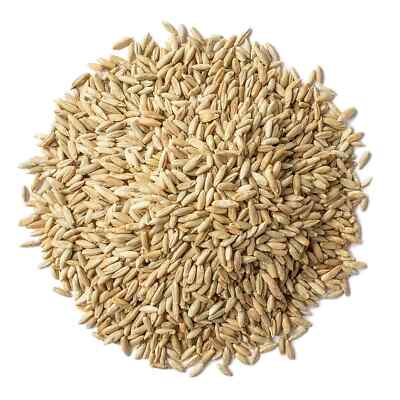 Rye Berries   Whole Grain Powerhouse for Bread, Sourdough, Porridge, and Granola