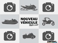 2018 SKI-DOO Summit X 165 850 E-TEC SHOT P