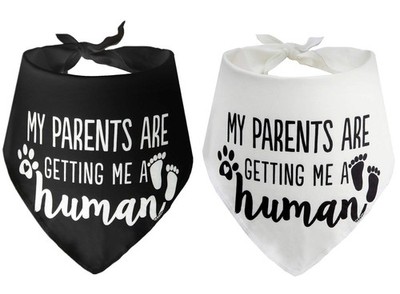 2-Pack ''My Parents are Getting me a Human'' Gender Reveal Dog Bandana Scarf