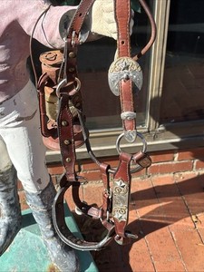Dale Chavez Leather Horse Show Halter with Silver &Gold Accents.shank Included