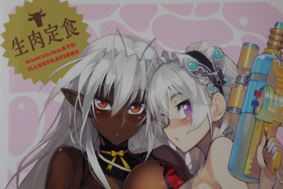 Namanikuatk Illustrations Namaniku Teishoku Illustration Book Japanese Anime Collectibles