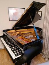 Young chang baby grand piano for sale - alihrom