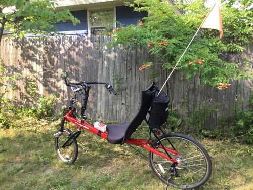 Bacchetta Cafe Recumbent Bike with 20 