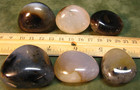 6 PIECE LOT DENDRITIC AGATES 252g TOTAL CHALCEDONY POLISHED MADAGASCAR #169 — photo 8