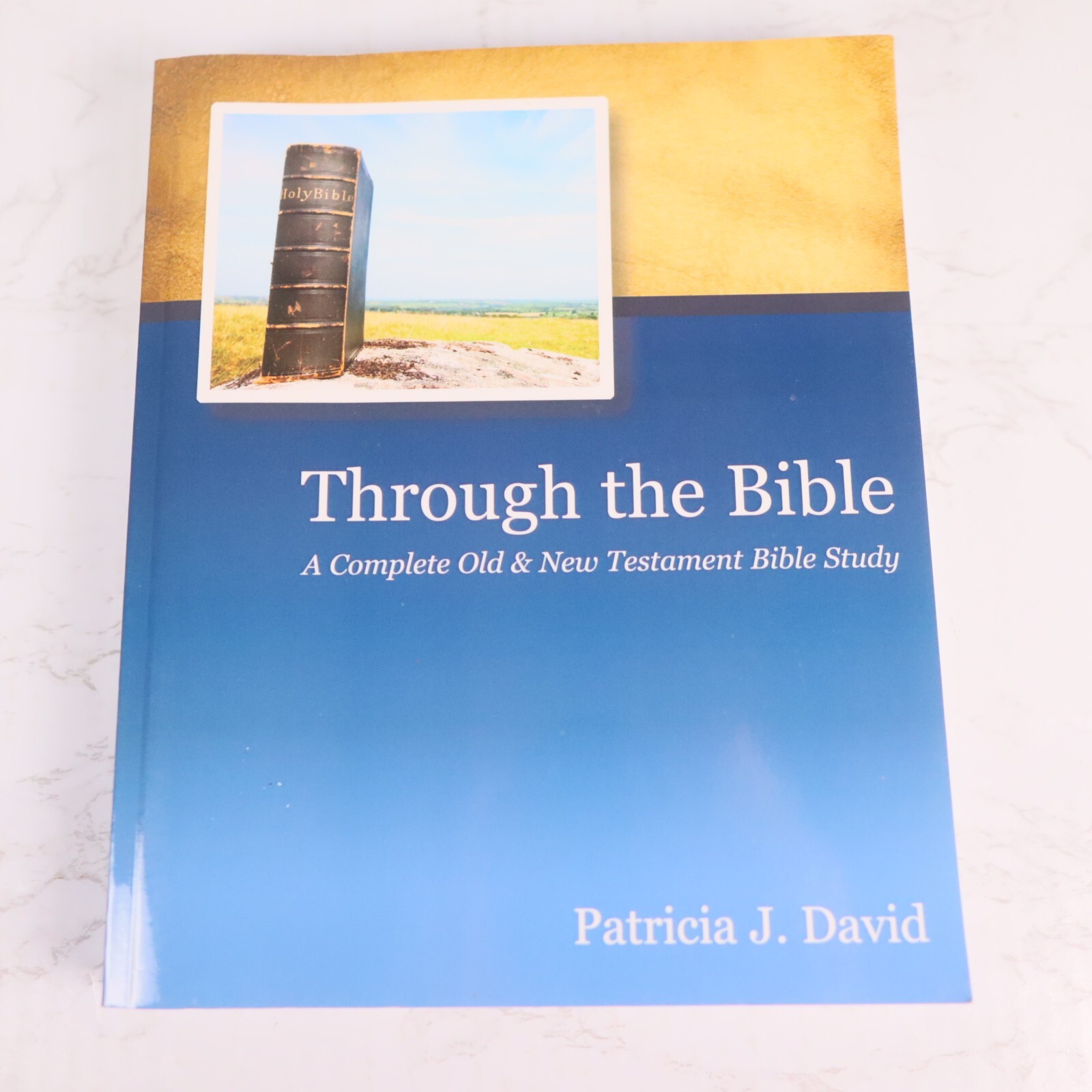 Explore the Bible with Patricia J. David’s Comprehensive Workbook - Paperback Edition
