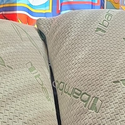 EASY HOMEGOODS Set of 2 Bamboo Leaf Pattern Bed Pillows Beige Green Bedroom