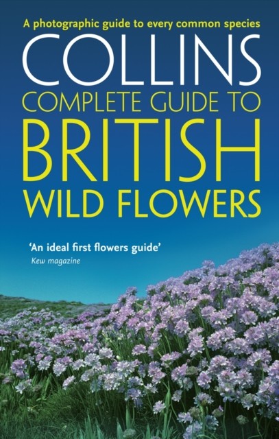British Wild Flowers by Paul Sterry PAPERBACK - Image 4