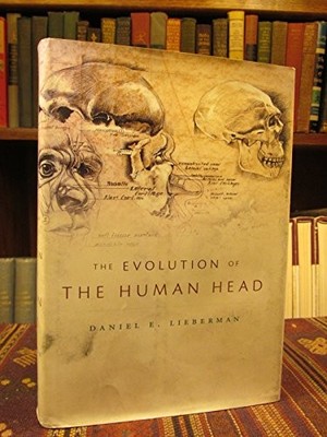 The Evolution of the Human Head by Lieberman, Daniel E.