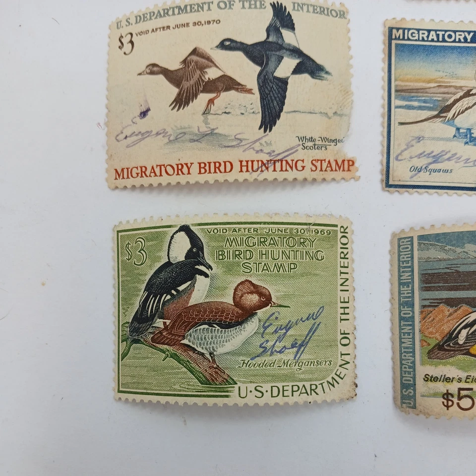  STAMPS US  $3 & $5 DOLLAR 1970s , 1960s FEDERAL DUCK STAMPS USED - Image 2 of 4