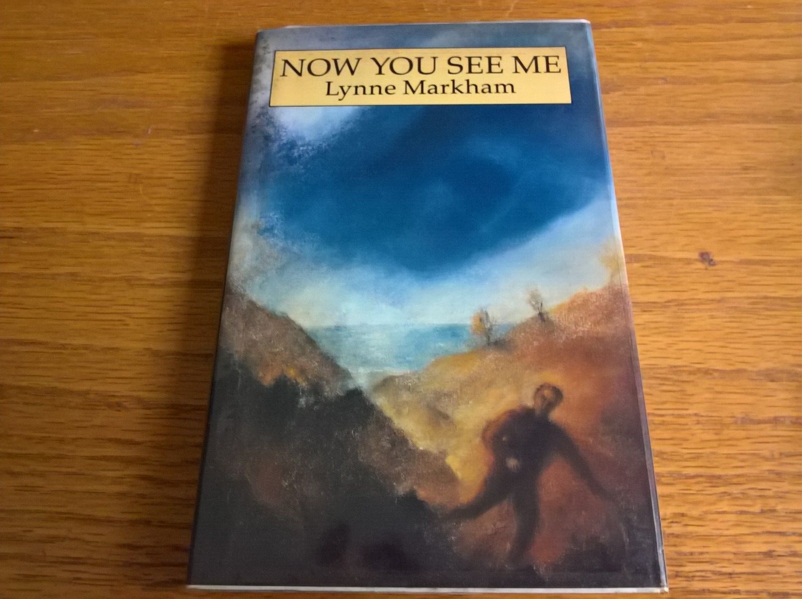 Now You See Me by Lynne Markham 1st Edn hb dj children's fiction
