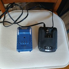 Snow Joe Ionmax 24-volt 4.0 Ah Lithium-ion Battery With Charger