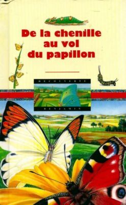 Von der Raupe zum Flug des Schmetterlings - Jean-Pierre Reymond - V1957492