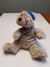Boyds Bear Nascar Jimmy Johnson # 48 in shirt and hat