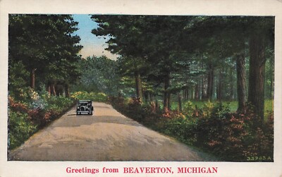 Beaverton MI Michigan Gladwin County Scenic Route Country Road Vtg Postcard G36