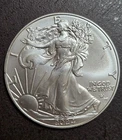2024 Star Privy American Silver Eagle 1 oz Bu Silver Coin