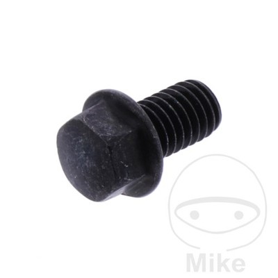 SIN MARCA Sprocket fixing screw OEM