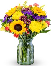 Benchmark Bouquets Flowering Fields Sunflower 1 Count Pack of 1 , Yellow