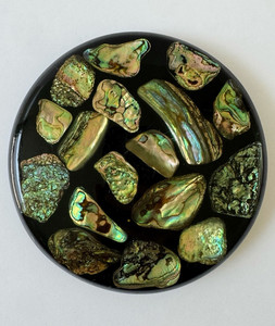 Vintage Wondermold Abalone Shell Trivet Black Lucite MCM Nautical Hot Plate 5.5”