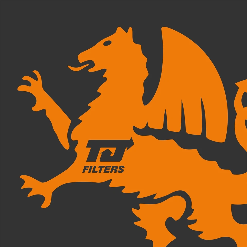 TJ Filters Fuel Filter Maintenance Fits Mini - Image 4 of 4