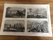 1857 illustrated london news print . dr livingstones south africa ! lions