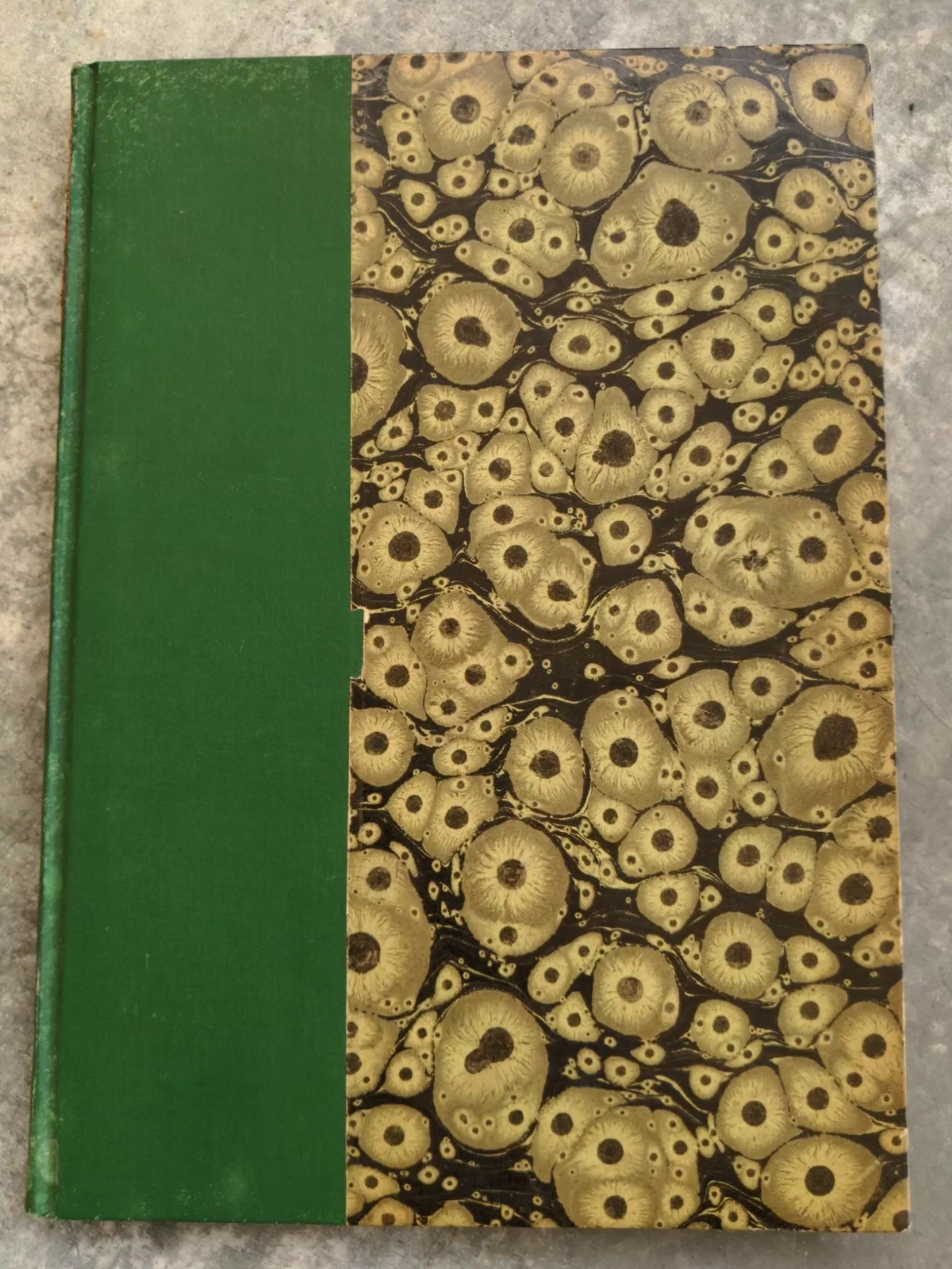 1887 Place Vendome l'Hotel Du Gouverneur Militaire Paris Marbled Tiger Pattern