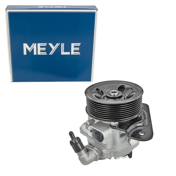 Meyle Hydraulikpumpe Lenkung FüR Land Rover Range Rover Sport I L320 3.6D 4X4-image