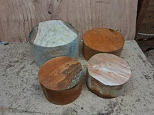 Pin Oak Plum Red Alder Wood Turning Bowl Blanks
